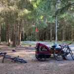 sykkelvogn i skog